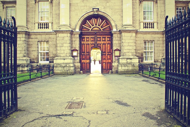 university
